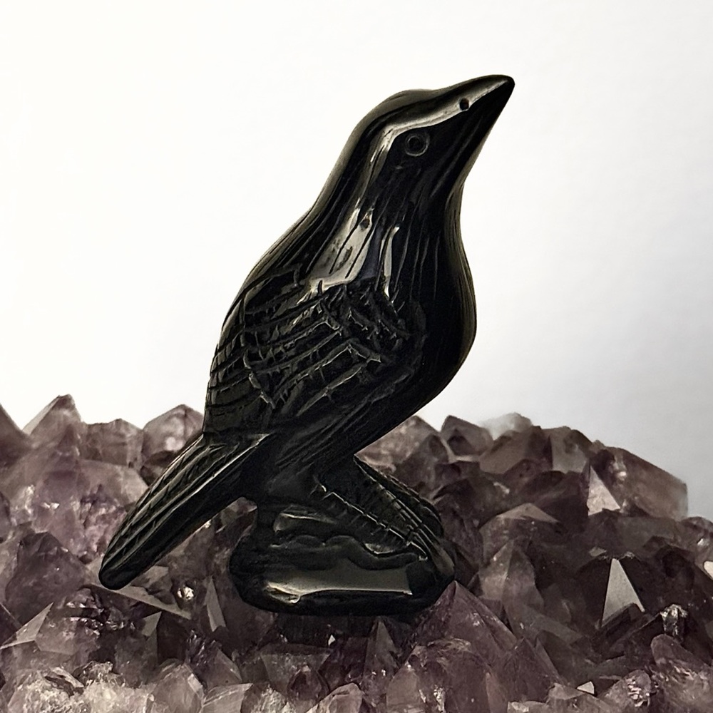 NEW AAA Grade Premium Black Obsidian Crystal Crow Bird